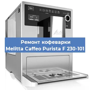 Чистка кофемашины Melitta Caffeo Purista F 230-101 от кофейных масел в Челябинске